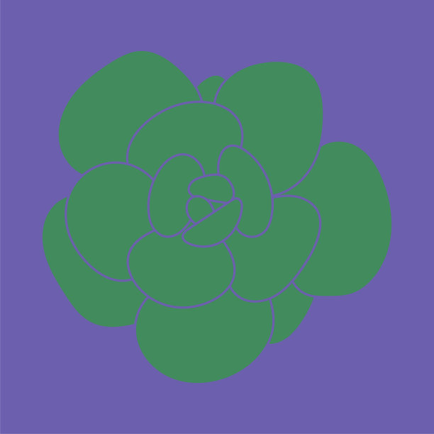 手绘矢量肉质标志。漂亮的现代图案。图片下载