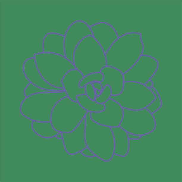 绿色背景上分离的多肉植物矢量图。涂鸦的标志。简单的草图。图片下载