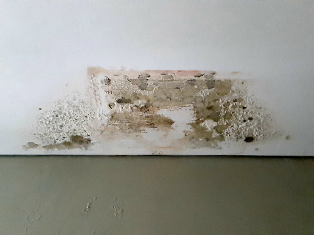 石膏天花板漏水了图片下载