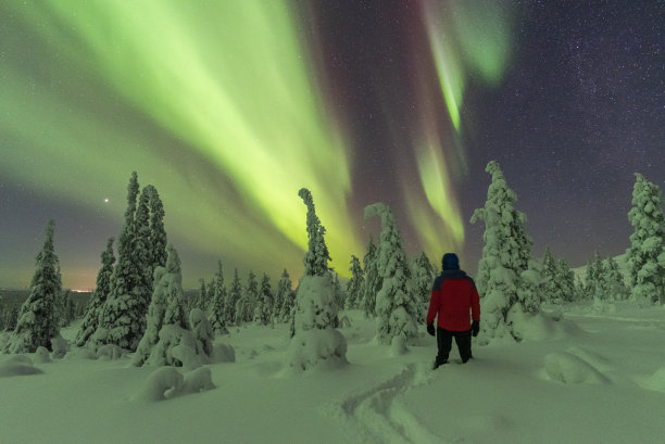 站在雪地上欣赏北极光的人图片下载