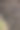 一棵小树正栽在一堆土里。图片下载