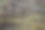 一棵小树正栽在一堆土里。图片下载