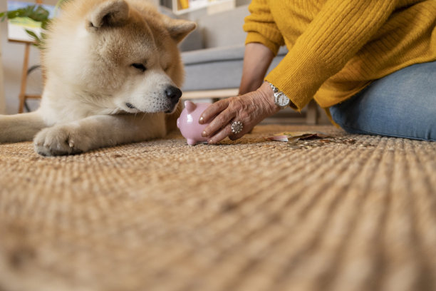 女人带着钱和存钱罐，和她的狗一起在家。储蓄观念，金融危机。图片下载