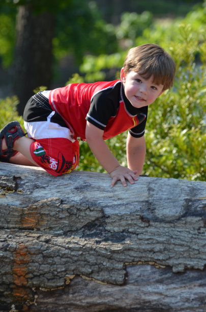 木头上的男孩图片下载
