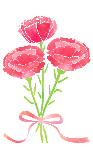 美丽的红色康乃馨花束插图图片下载