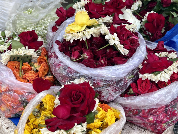 麻袋玫瑰花蕾图片下载