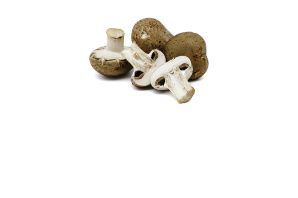 一套新鲜的整个和切片香菇孤立在白色背景。图片下载