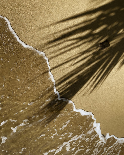 加勒比海波多黎各海滩上棕榈树的影子。图片下载