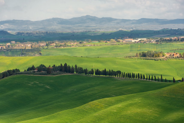 意大利克里特岛塞内西乡村的绿色草地图片下载