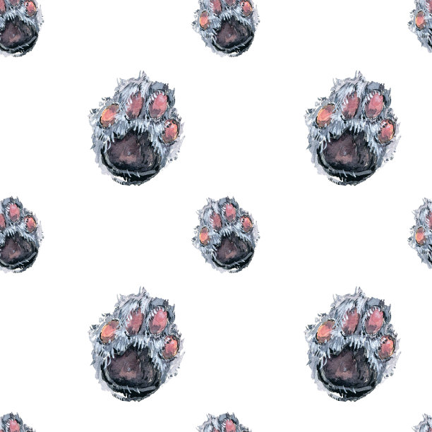 可爱的猫爪无缝图案。白底水彩画图片下载