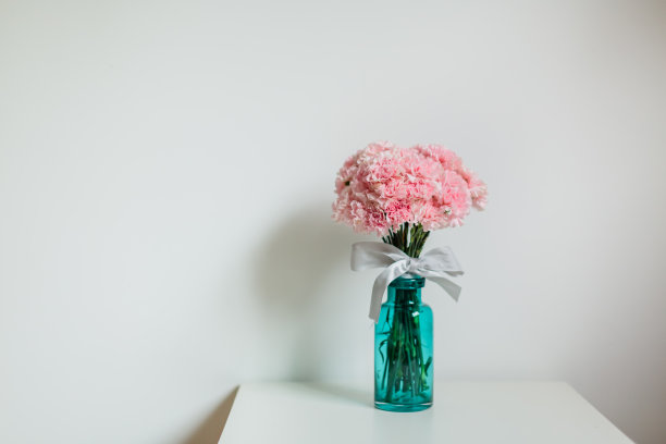 玻璃花瓶里插着康乃馨。图片下载