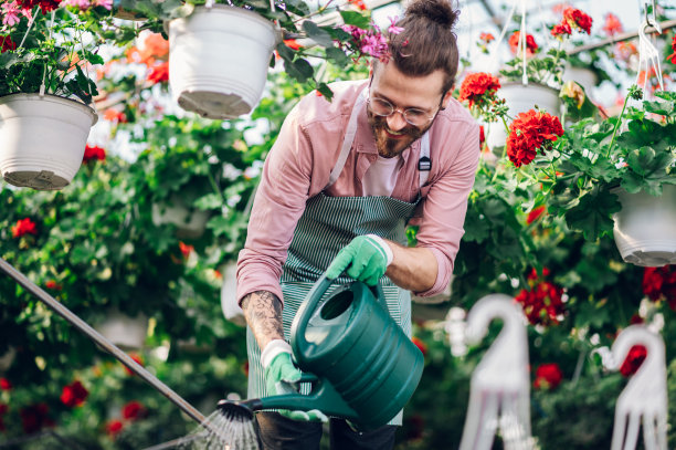 男园丁在温室里工作，给植物浇水图片下载