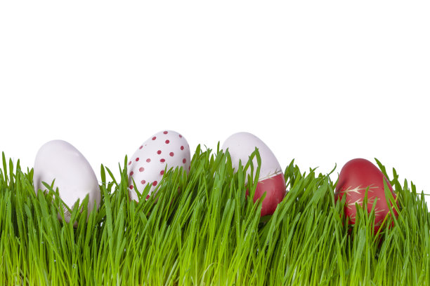 彩色的粉红色和红色复活节彩蛋在绿色的草地上，在白色的背景上图片下载