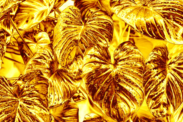 金色树叶水滴背景，金色花叶纹理，黄色金属热带树叶背景，金属花枝图案，抽象植物装饰艺术壁纸设计，复古装饰图片下载