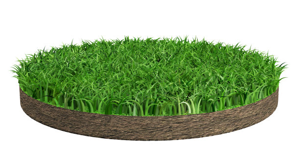 白色背景上的绿色草坪圈，3d渲染图片下载