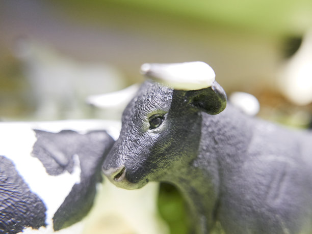 一个塑料公牛的微型模型图片下载