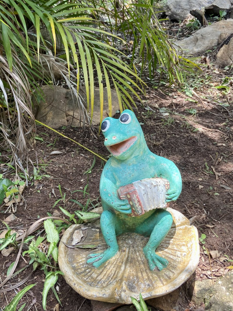 唱歌的青蛙图片下载