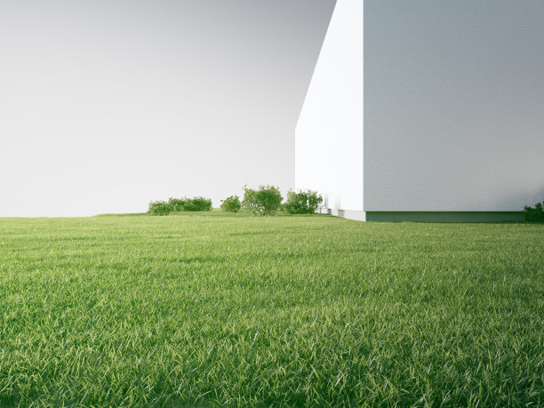 有混凝土墙的房子，靠近空旷的草地地板。图片下载