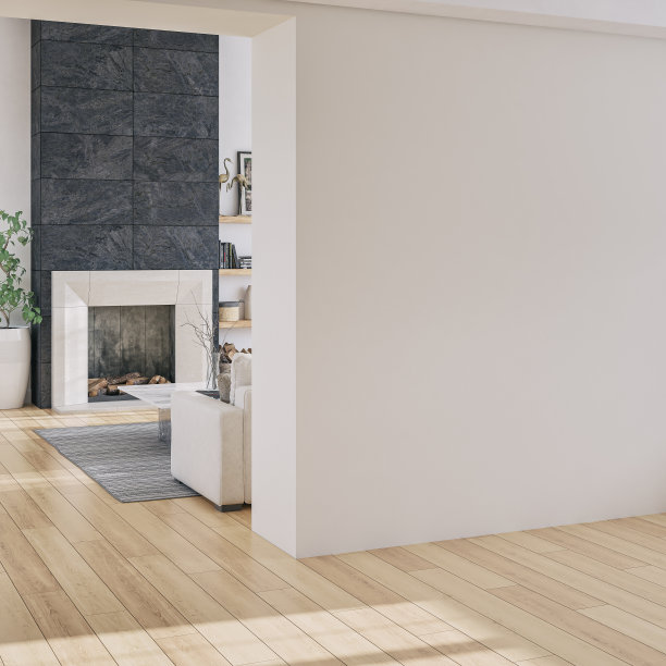 一个舒适，豪华和现代的客厅的侧视图，有沙发，装饰和壁炉，前面有一个大的空白墙壁背景图片下载