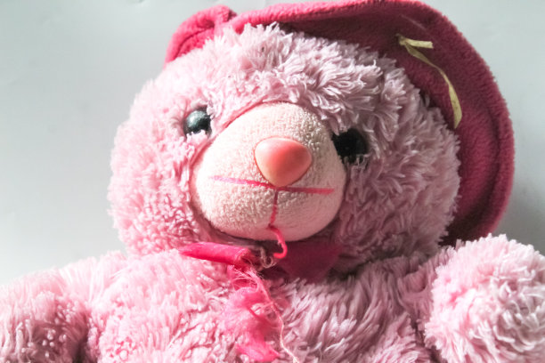 粉色泰迪熊图片下载