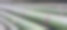 绿色的竹子图片下载