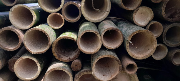 竹端孔图片下载