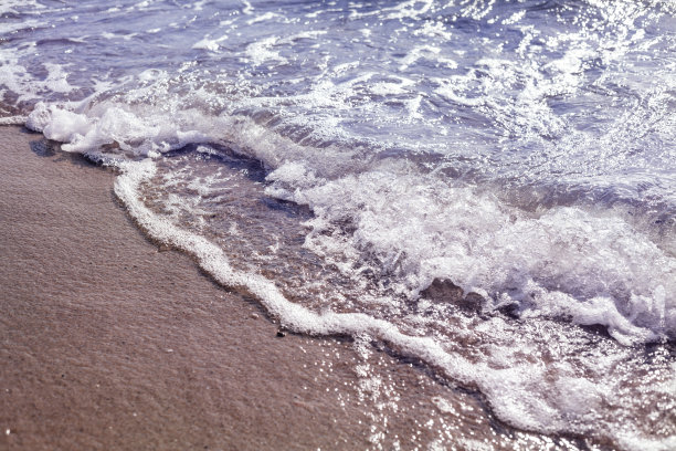 沙滩游隼与海泡沫与文字空间。图片下载