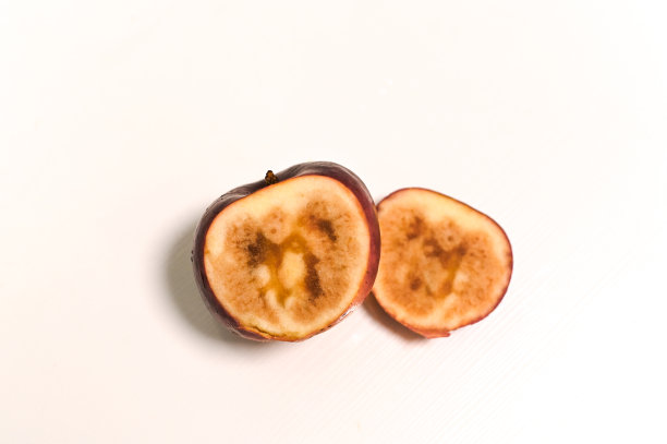 伤口里有个烂苹果。在白色背景上图片下载