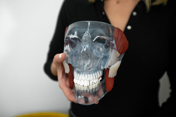 裁剪照片的女医生持有人造透明的人类头骨模型人体模型与彩色的肌肉在手中。图片下载