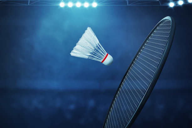 羽毛球比赛的3d插图图片下载