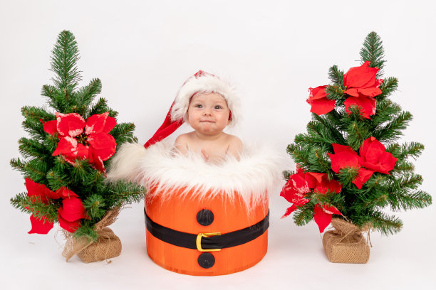 圣诞照片一个小女孩坐在圣诞树附近的篮子里，戴着圣诞帽，白色孤立的背景，2021年新年快乐，文字空间图片下载