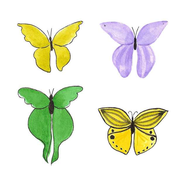 手绘水彩蝴蝶。孤立在白色背景上。剪贴簿，明信片，横幅，标签，海报。图片下载