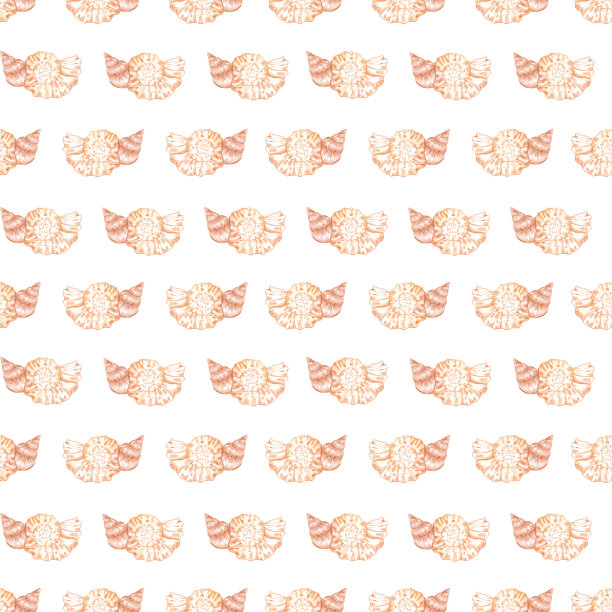 手绘水彩贝壳和海藻无缝模式孤立在白色背景。剪贴簿，明信片，纺织品，织物。图片下载