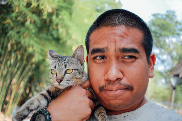 男人和可爱的猫玩图片下载