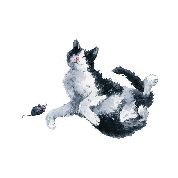 黑白双色猫玩玩具老鼠。白色背景上的水彩画图片下载