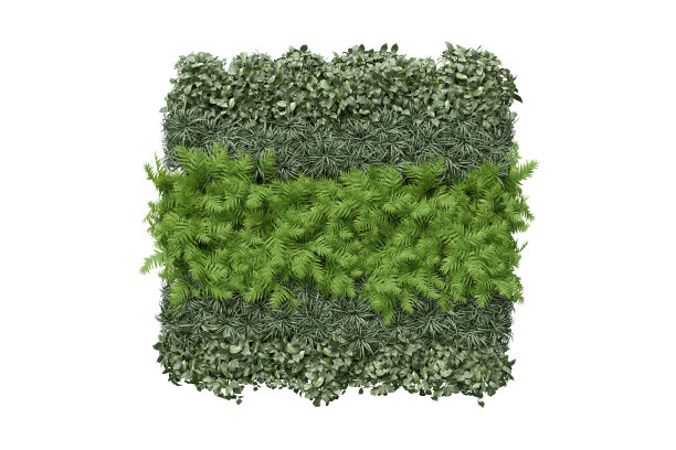 逼真的绿色墙壁。图片下载