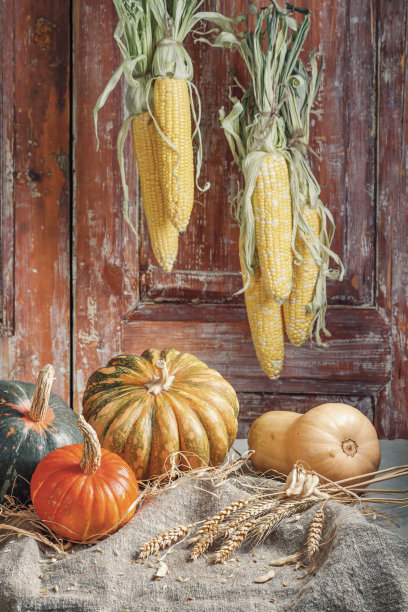秋天的静物，不同颜色和大小的南瓜果实在乡村房子的旧木门的背景图片下载