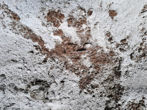 将水泥粉与沙子紧密结合。建筑工人图片下载