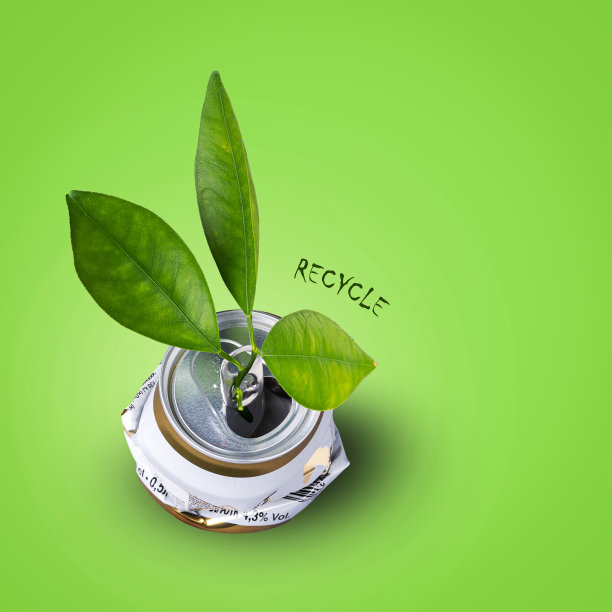 皱巴巴的铝罐。在绿色的背景上，幼苗从里面长出来。回收的概念。重用。图片下载