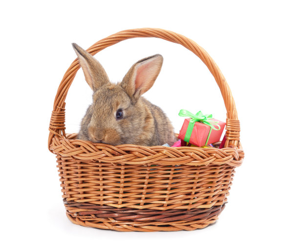 兔子在篮子里，带着礼物。图片下载