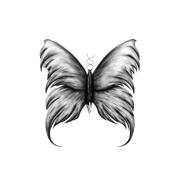 深色蝴蝶插画，纹身设计图片下载