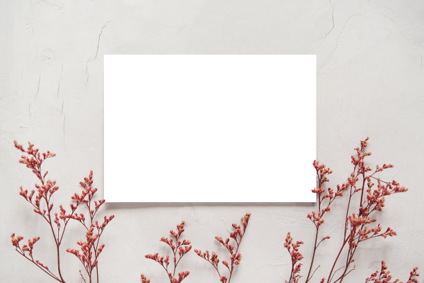 空白贺卡，邀请和信封模型。由干花和树枝制成的最小花卉框架。平铺，俯视图。母亲节快乐，妇女节还是生日，婚庆作文。图片下载