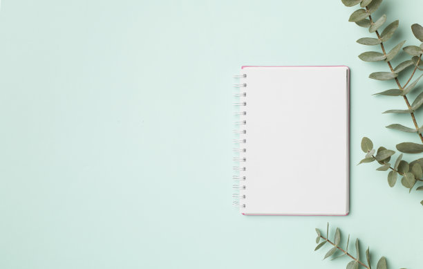 笔记本与美丽的桉树树枝的颜色背景，顶视图图片下载
