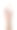 女子拿着空瓶子孤立在白色，特写图片下载