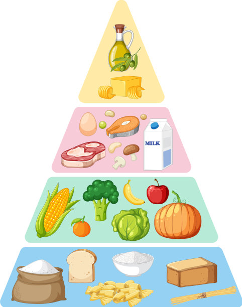食物营养组别金字塔图片下载