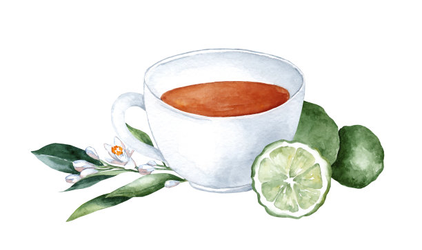 一杯草本茶加上新鲜的佛手柑片图片下载