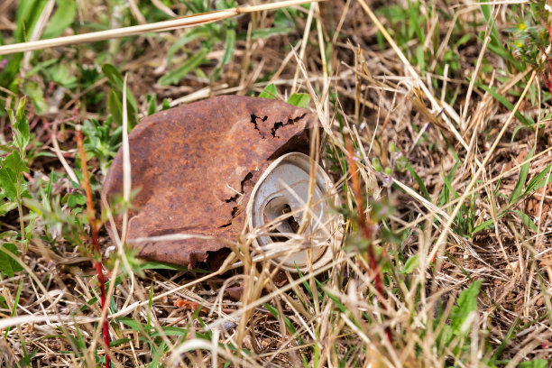 醒目的库存照片生锈的苏打罐躺在草地旁边的道路图片下载