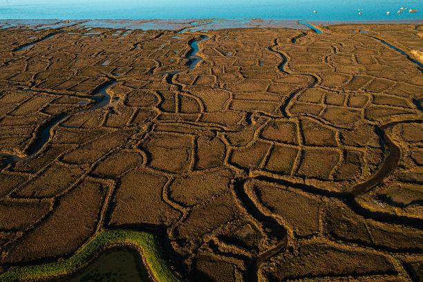 在Charente-Maritime的La Seudre河口附近的牡蛎床上方拍摄的海岸纹理的抽象航空照片。图片下载