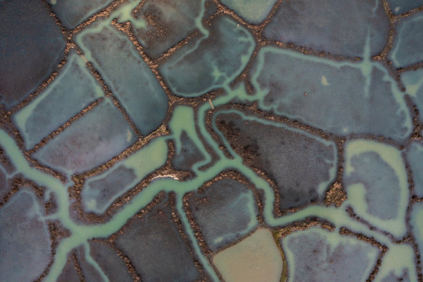 在Charente-Maritime的La Seudre河口附近的牡蛎床上方拍摄的海岸纹理的抽象航空照片。图片下载