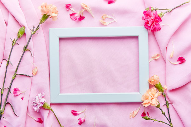 花卉精致的绿松石空内部粉红色墙壁布局紫菀安排与复制空间。母亲节、妇女节、请柬、许愿卡的概念图片下载